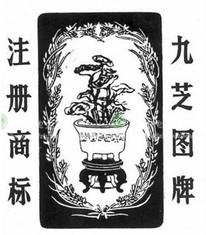 1756528968994046.png image.png